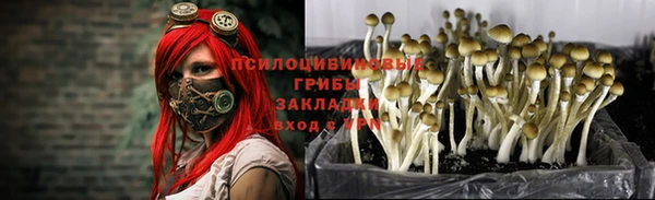 jwh Пестово