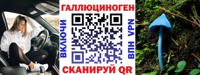 Псилоцибиновые грибы мицелий Новосиль
