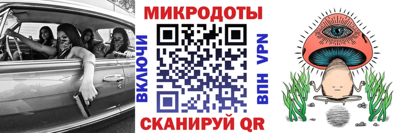 Купить где  Новосиль  Галлюциногенные грибы мицелий 